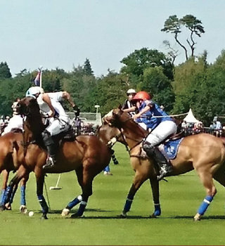 The Royal Windsor Cup